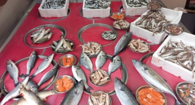 Giresun'da Balık Fiyatları Bugün Ne Kadar? 