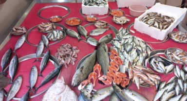 Giresun'da balık fiyatları bugün ne kadar?