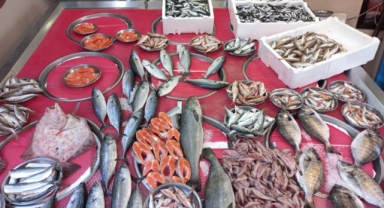 Giresun'da balık fiyatları bugün ne kadar?