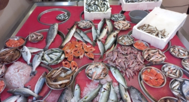 Giresun'da balık fiyatları bugün ne kadar?