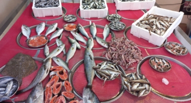 Giresun'da balık fiyatları bugün ne kadar?