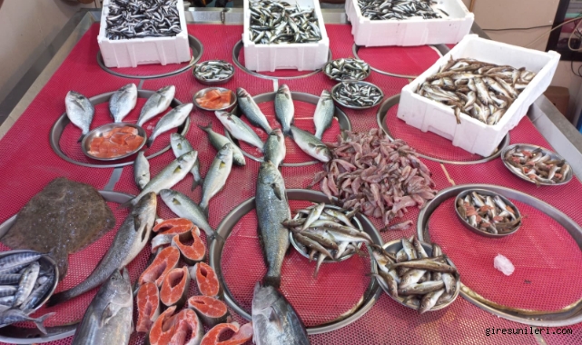 Giresun'da balık fiyatları bugün ne kadar?