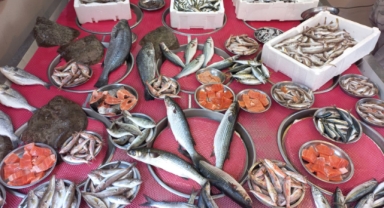 Giresun'da balık fiyatları bugün ne kadar? Hamsi Kaç TL?