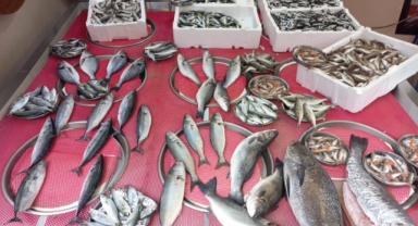 Giresun'da Balık Fiyatları Bugün Ne Kadar?  Hamsi Kaç TL?