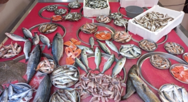 Giresun'da Balık Fiyatları Bugün Ne Kadar? Hamsi Kaç TL?