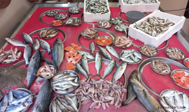 Giresun'da Balık Fiyatları Bugün Ne Kadar? Hamsi Kaç TL?