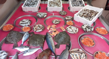 Giresun'da Balık Fiyatları Bugün Ne Kadar?  Hamsi Kaç TL?