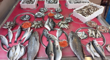 Giresun'da Balık Fiyatları Bugün Ne Kadar?  Hamsi Kaç TL?