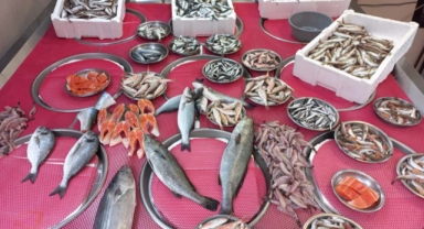 Giresun'da Balık Fiyatları Bugün Ne Kadar?  Hamsi Kaç TL?