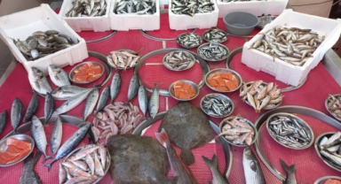 Giresun'da balık fiyatları kaç TL?