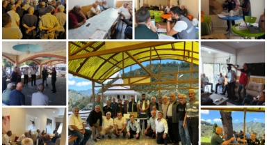 Giresun’da Fındık Bahçelerinde Kahverengi Kokarca Mücadelesi