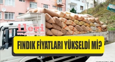 Giresun'da fındık fiyatları göz kırpıyor! Fındık fiyatları ne kadar? 