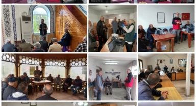 Giresun'da Fındıkta Verim Kaybına Karşı Etkili Önlem