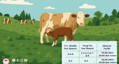 Giresun’da Hayvancılığa Büyük Destek! 15 Milyon TL Hesaplara Aktarılıyor