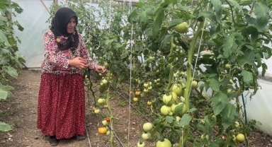 Giresun’da kadın üretici, devlet desteğiyle kurduğu serayla kendi işinin patronu oldu