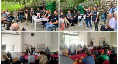 Giresun’da Kahverengi Kokarca Mücadelesi Sürüyor