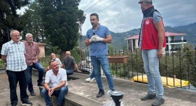 Giresun’da Kahverengi Kokarca Zararlısına Karşı Feromon Tuzaklarıyla Mücadele