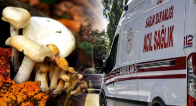 Giresun’da Mantar Kabusu! 4 Kişi Zehirlendi