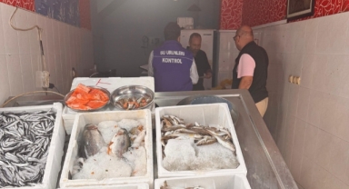 Giresun'da Sürdürülebilir Balıkçılık İçin Sıkı Denetim