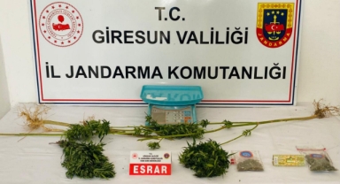 Giresun’da Uyuşturucuya Büyük Darbe!