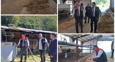 Giresun Tarım ve Orman Müdürlüğü'nden Espiye’de Hayvancılık Sektörüne Destek Ziyareti