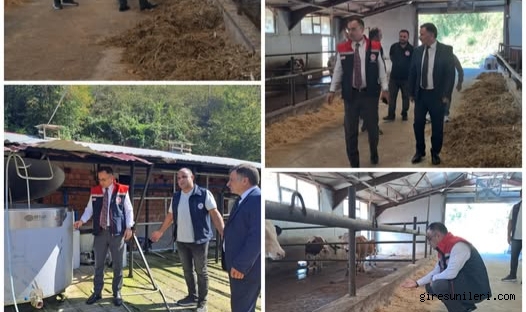 Giresun Tarım ve Orman Müdürlüğü'nden Espiye’de Hayvancılık Sektörüne Destek Ziyareti