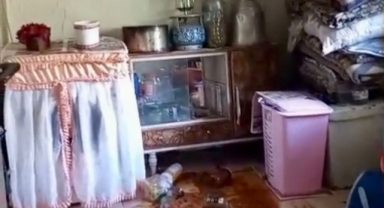 Giresun'un o bölgelerinde ayılar yerleşim alanlarına indi, yöre halkı endişeli