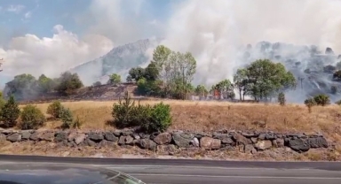 Giresun Yolunda Korkutan Yangın: Geminbeli Geçidinde Alevler Makilik Alanı Sardı