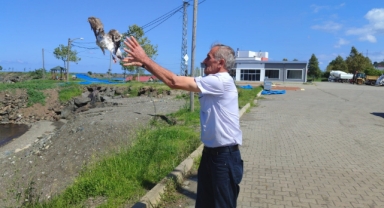 Görele Sahilinde Yürek Isıtan Anlar