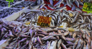Hamsi bolluğu fiyatları düşürdü: 