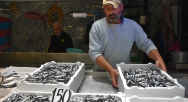 Hamsi ve istavrit 150 liradan satışa sunuluyor