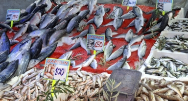 Havalar serinledi, balık tezgahları hareketlendi