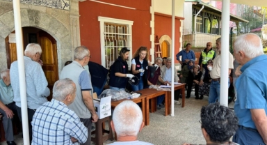 Kahverengi Kokarca Zararlısına Karşı Giresun’da Etkin Mücadele