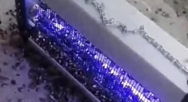 Kahverengi kokarcaya ultraviyole çözüm