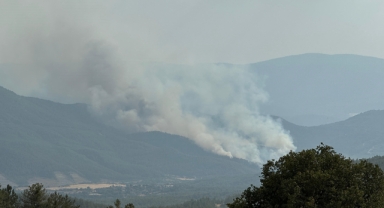 Karabük'te yeni orman yangını çıktı