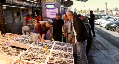 Karadeniz'in Gözbebeği Hamsi Fiyatıyla Şaşırttı