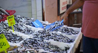 Karadeniz'in incisi hamsi tezgahlarda: Ne alırsan 100 TL
