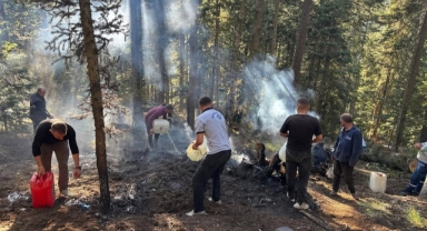 Kastamonu'da çıkan orman yangını söndürüldü
