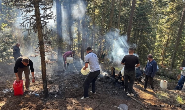 Kastamonu'da çıkan orman yangını söndürüldü
