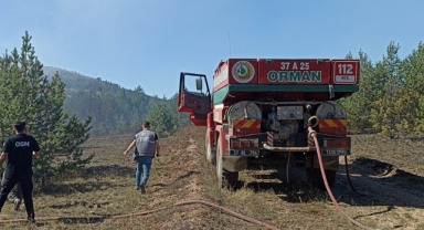 Kastamonu'da orman yangını: 10 dönümlük alan zarar gördü
