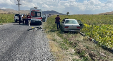 Komşudan kardeşlere kanlı pusu: 2 ölü