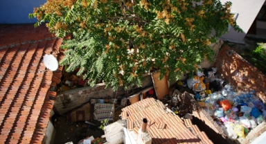 Mahallede fare paniği