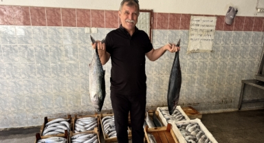 O kentte bir gecede yaklaşık 9 bin palamut avlandı