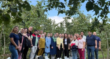 O kentte fındığın verim ve kalitesi artırılacak