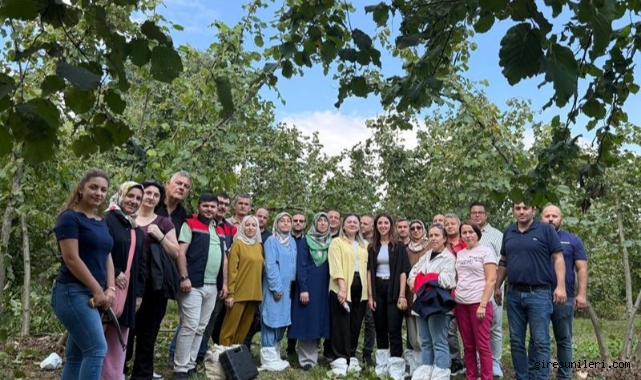 O kentte fındığın verim ve kalitesi artırılacak