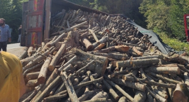 Ordu'da tomruk kamyonu devrildi: 21 ton tomruk yola saçıldı