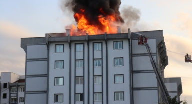 Ordu'da yangın paniği!