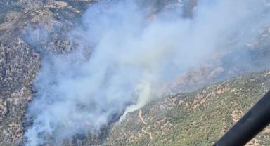 Ot temizlemek isterken ormanı yakan 3 şüpheli gözaltına alındı
