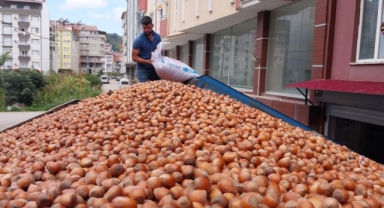 Fındık ihracatında çıta yükseliyor