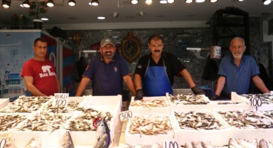 Palamut Bu Yıl Giresun’a Uğramadı, Balıkçıların Umudu Hamsi Oldu